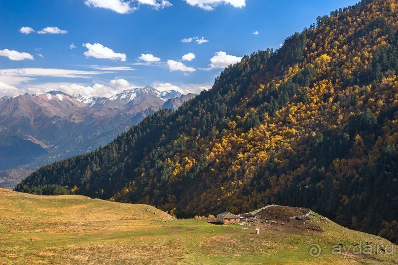 Зоопарк без клеток - Африка