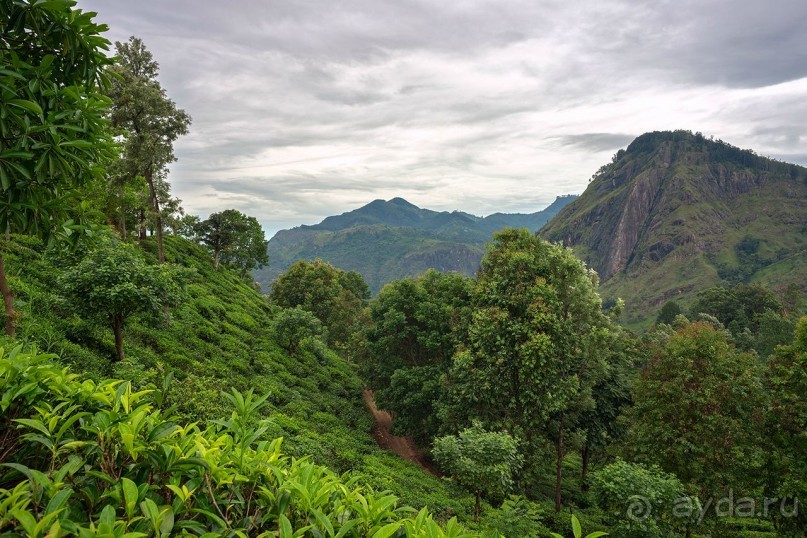 Зоопарк без клеток - Африка