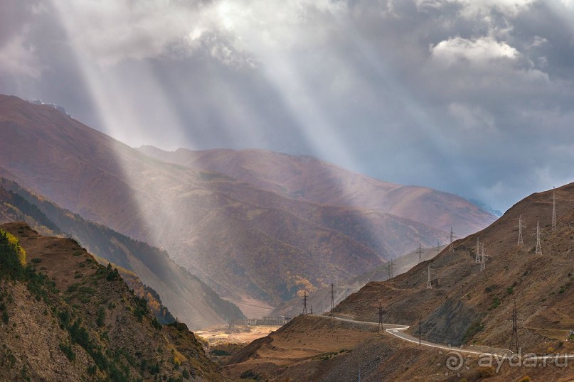 Зоопарк без клеток - Африка