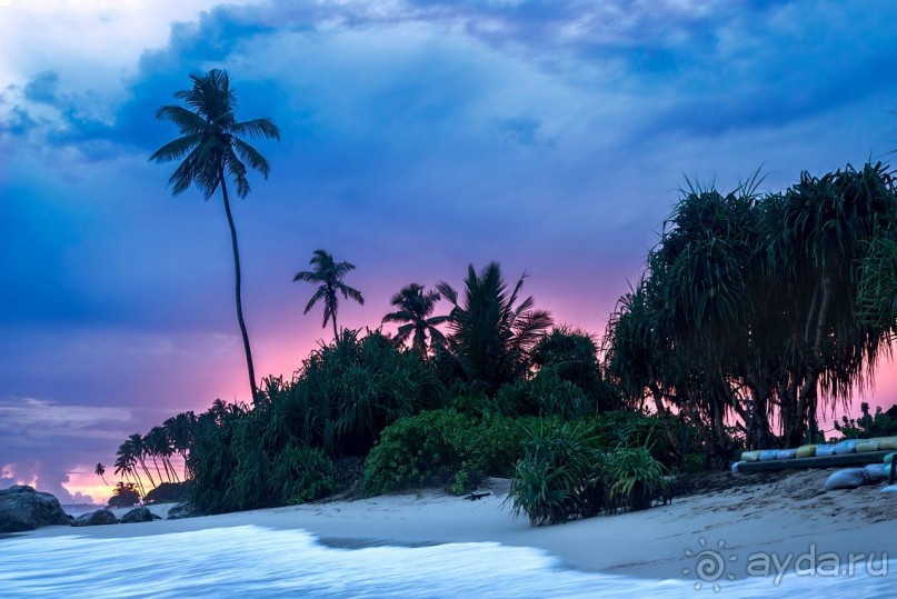 Зоопарк без клеток - Африка