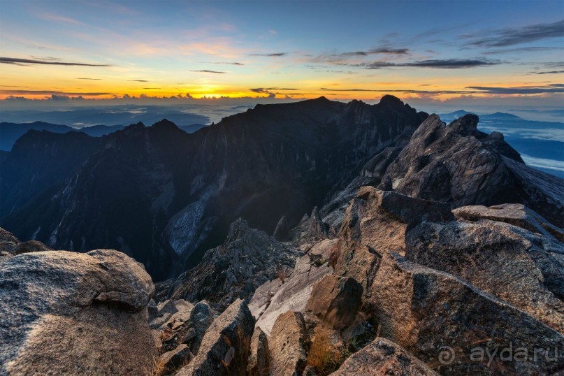 Зоопарк без клеток - Африка