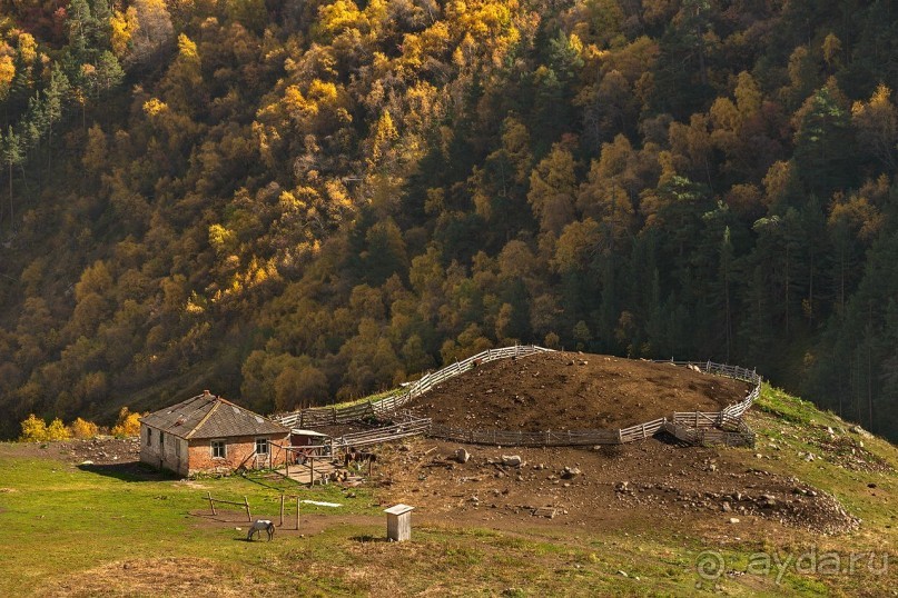 Зоопарк без клеток - Африка