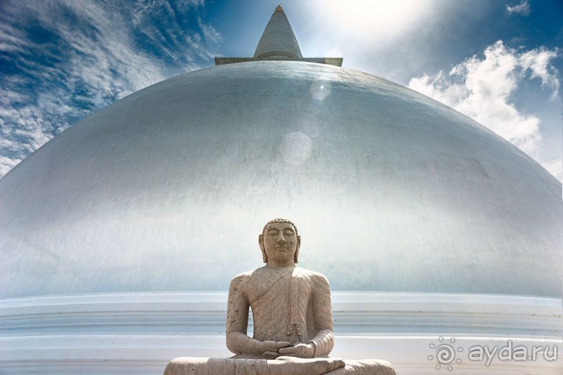 Зоопарк без клеток - Африка