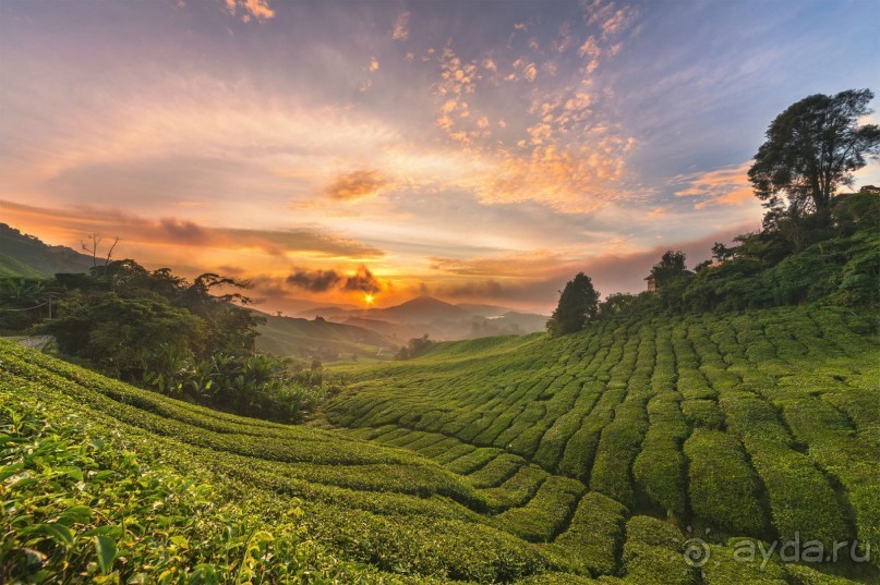 Зоопарк без клеток - Африка