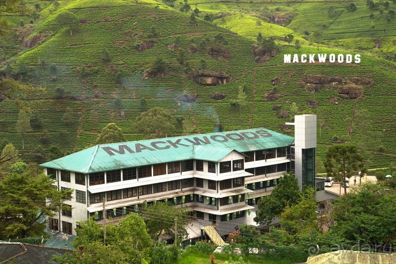 Зоопарк без клеток - Африка