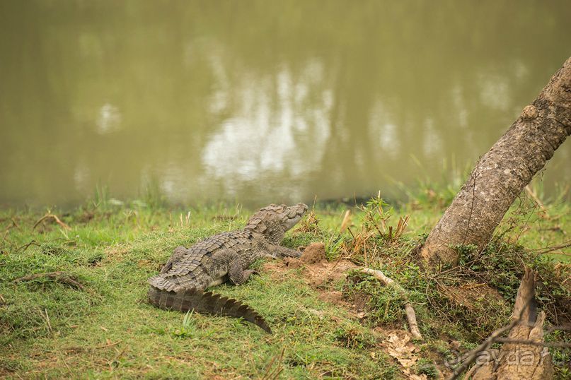 Зоопарк без клеток - Африка