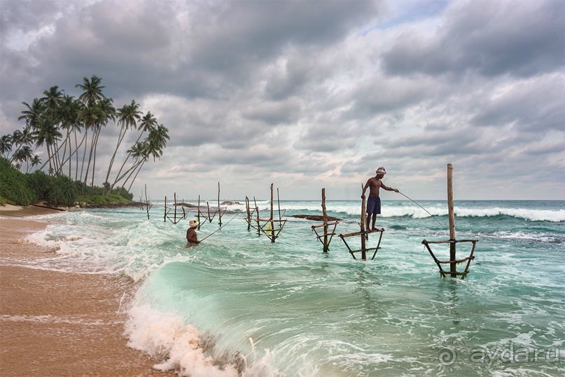 Зоопарк без клеток - Африка