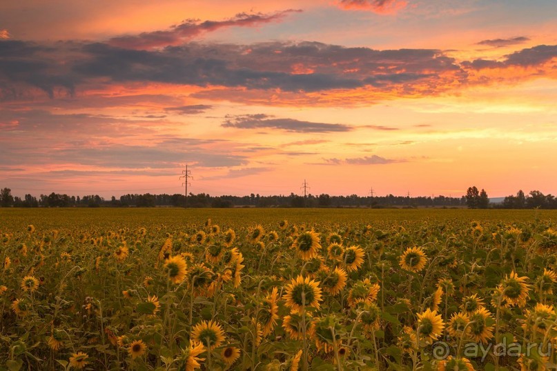 Зоопарк без клеток - Африка