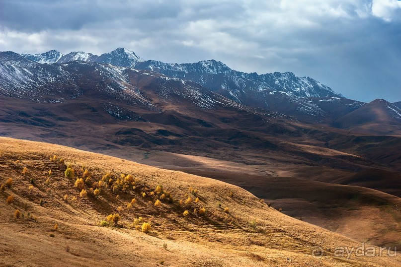 Зоопарк без клеток - Африка