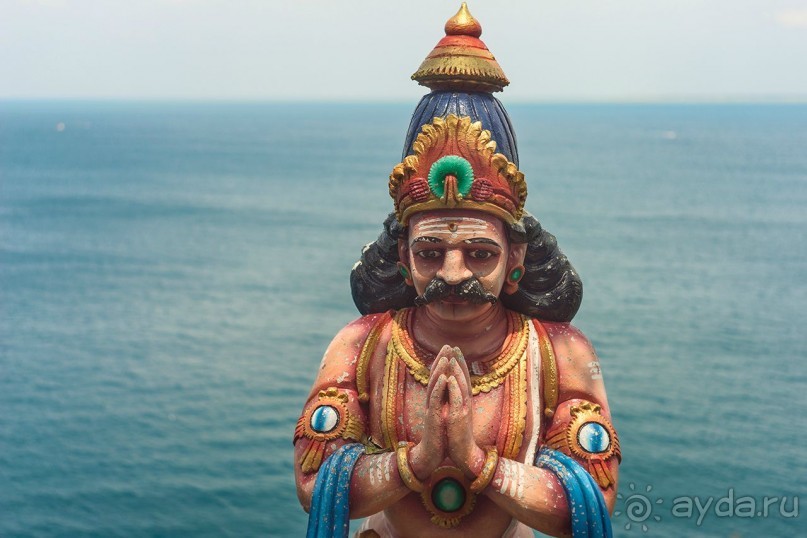 Зоопарк без клеток - Африка