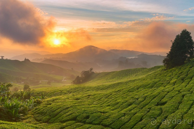 Зоопарк без клеток - Африка