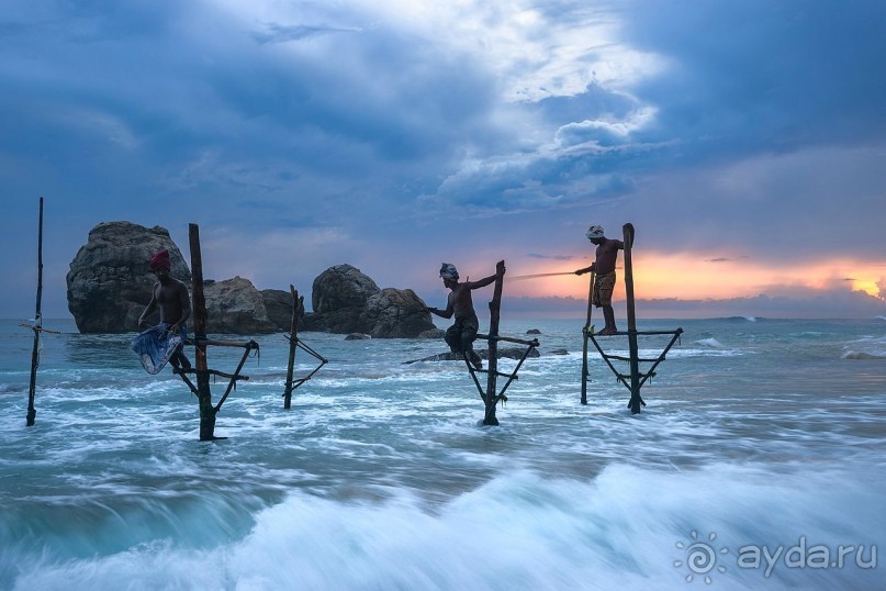 Зоопарк без клеток - Африка