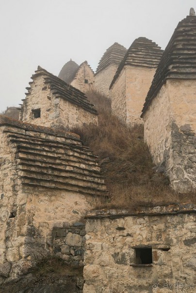 Зоопарк без клеток - Африка