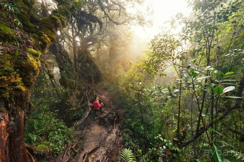 Зоопарк без клеток - Африка