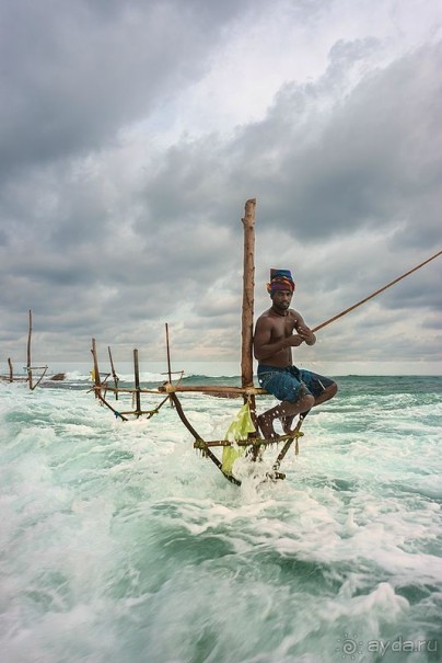 Зоопарк без клеток - Африка