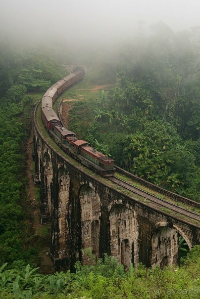 Зоопарк без клеток - Африка