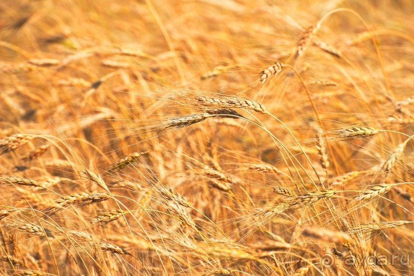 Зоопарк без клеток - Африка