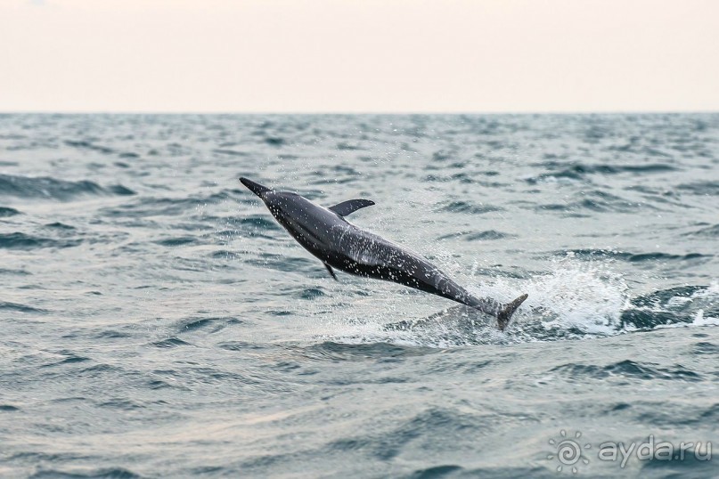 Зоопарк без клеток - Африка