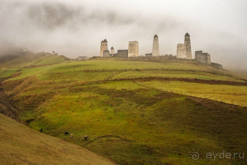 Зоопарк без клеток - Африка