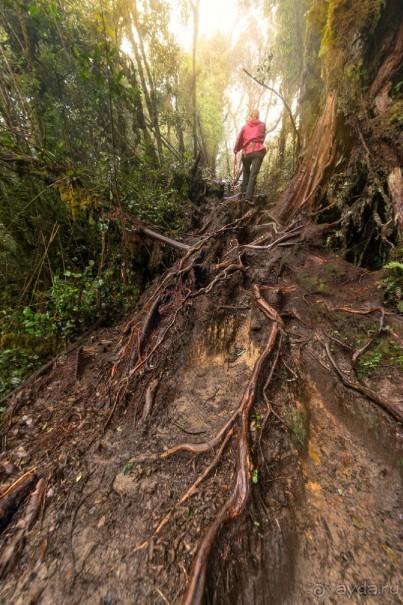 Зоопарк без клеток - Африка
