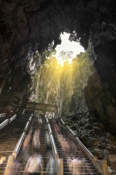 Зоопарк без клеток - Африка