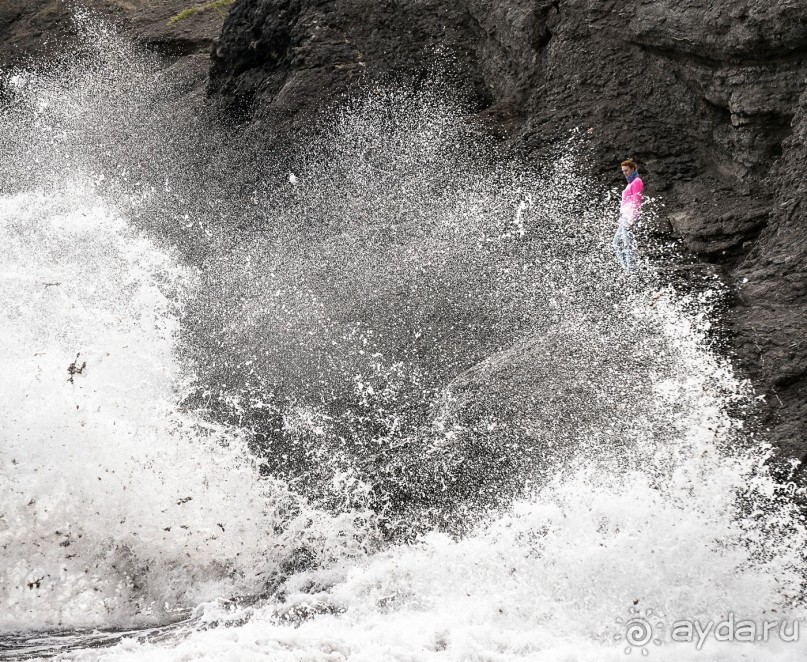 Зоопарк без клеток - Африка