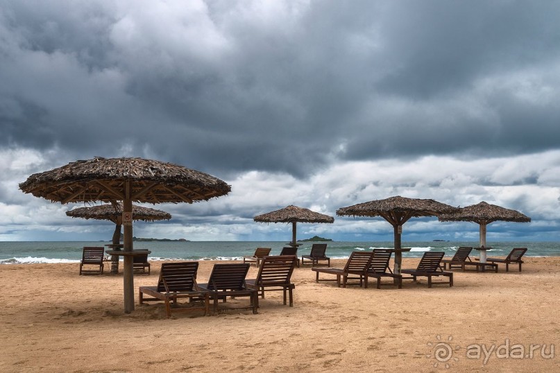 Зоопарк без клеток - Африка