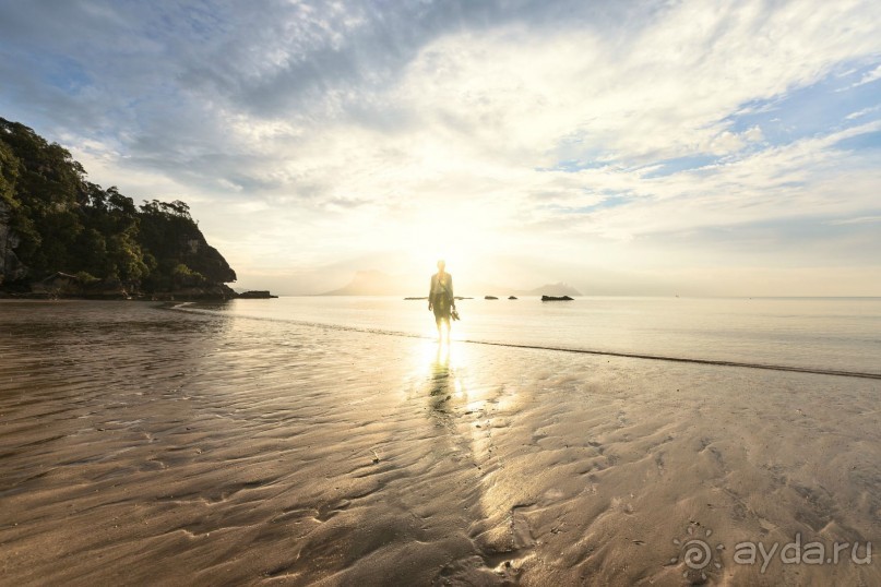 Зоопарк без клеток - Африка