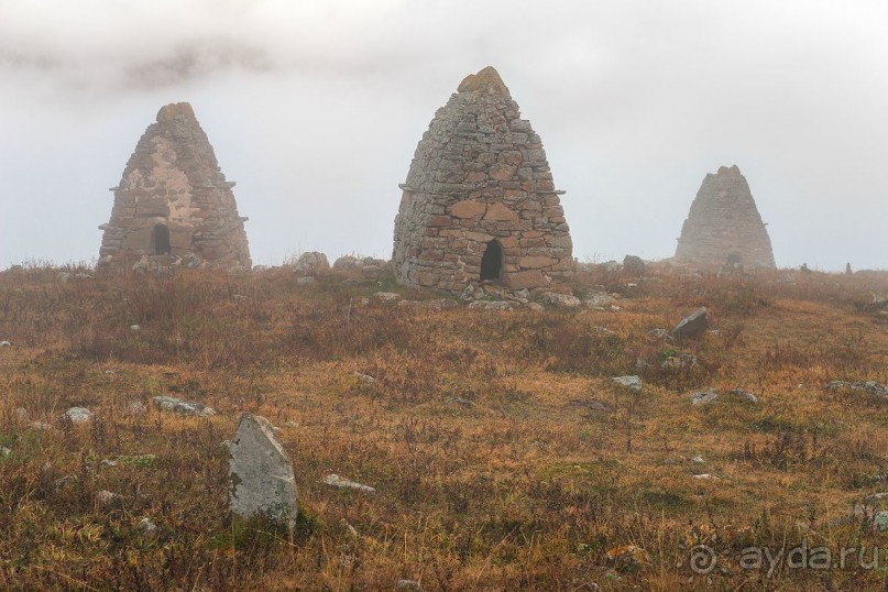 Зоопарк без клеток - Африка