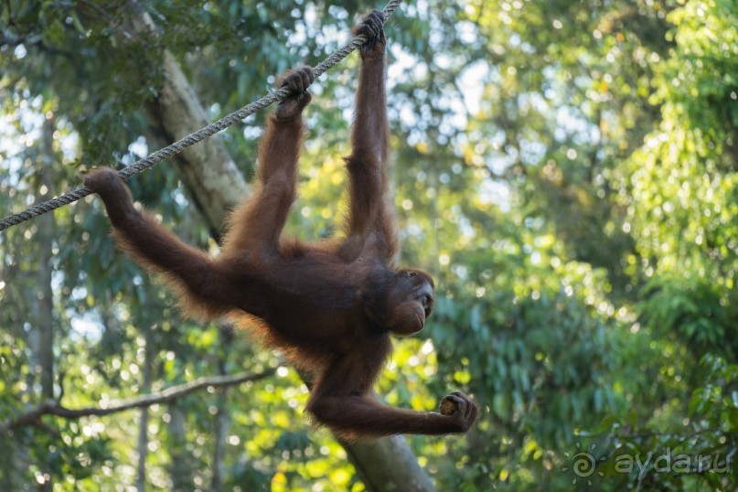 Зоопарк без клеток - Африка