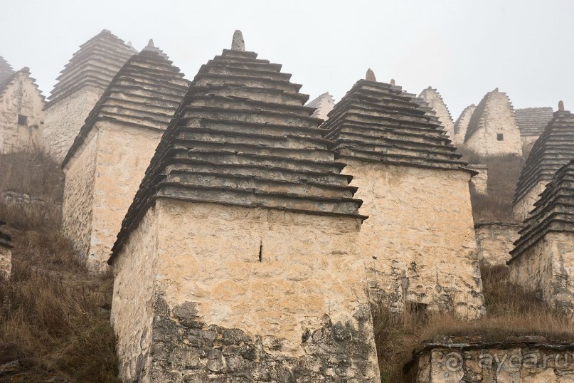 Зоопарк без клеток - Африка