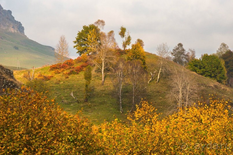 Зоопарк без клеток - Африка