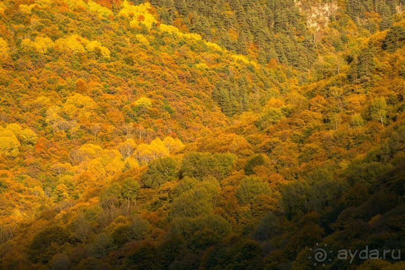 Зоопарк без клеток - Африка