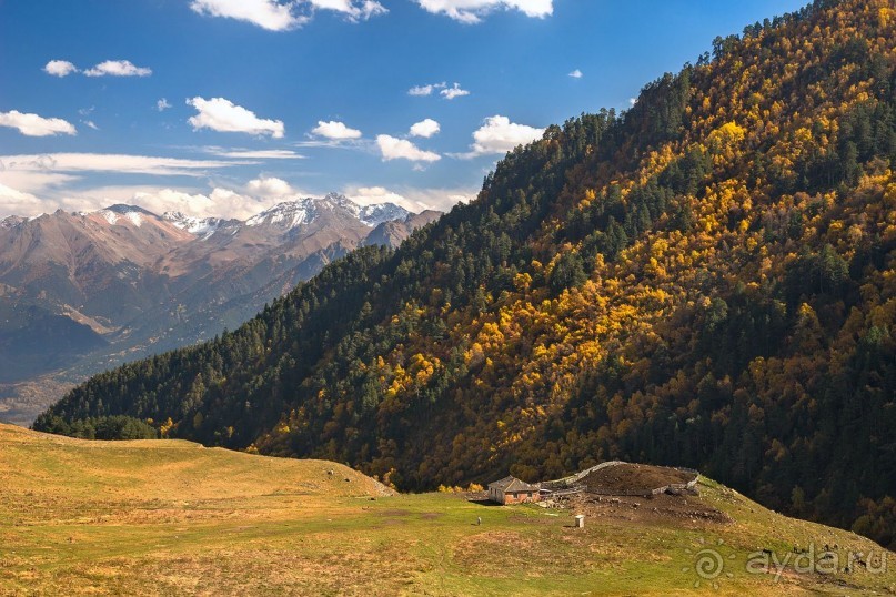 Зоопарк без клеток - Африка