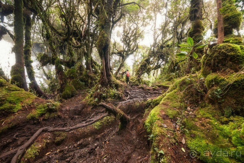 Зоопарк без клеток - Африка