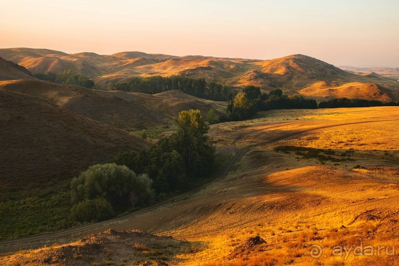 Зоопарк без клеток - Африка