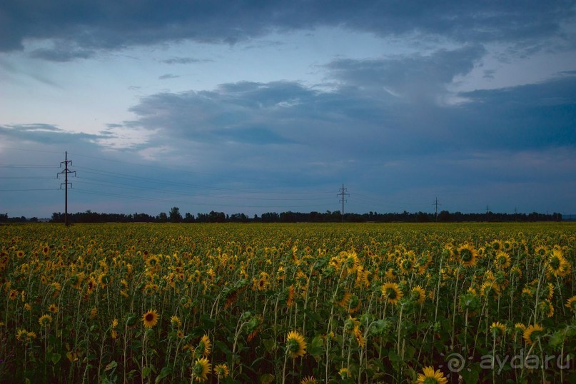 Зоопарк без клеток - Африка