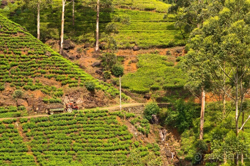 Зоопарк без клеток - Африка