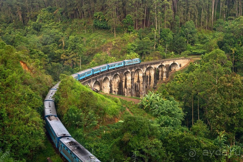 Зоопарк без клеток - Африка