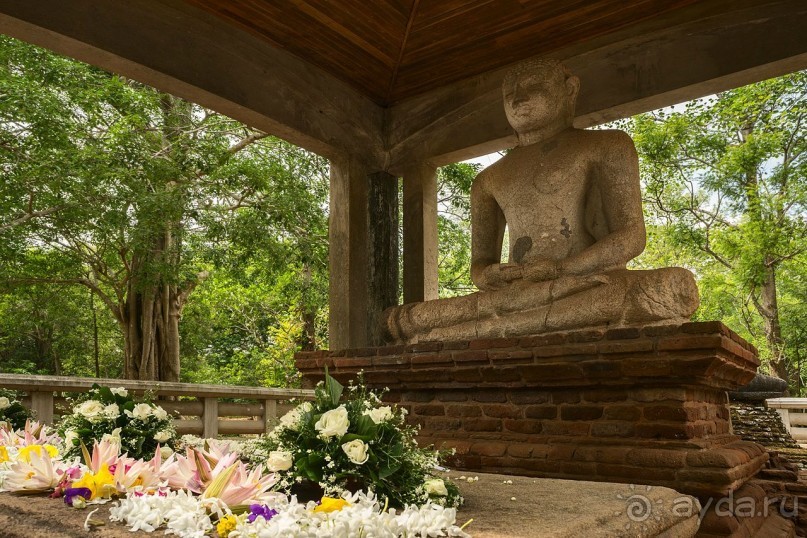 Зоопарк без клеток - Африка