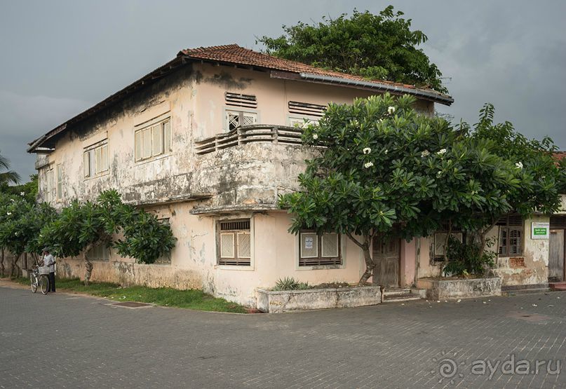 Зоопарк без клеток - Африка