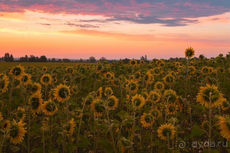Зоопарк без клеток - Африка