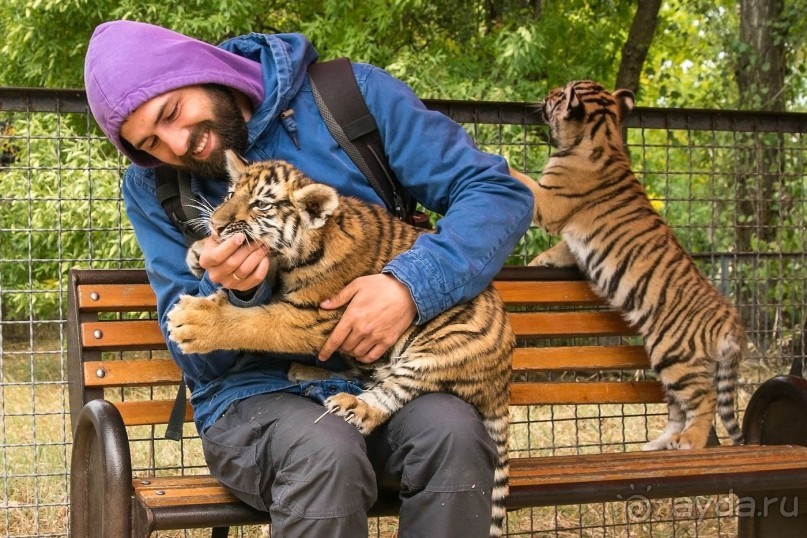 Зоопарк без клеток - Африка