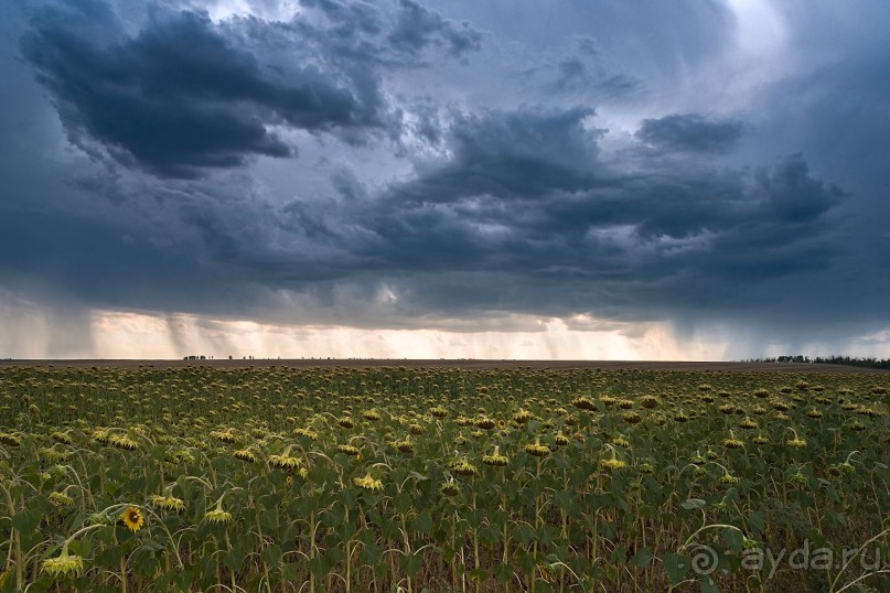 Зоопарк без клеток - Африка