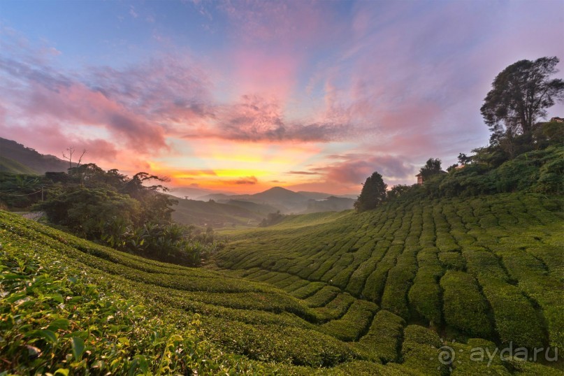 Зоопарк без клеток - Африка