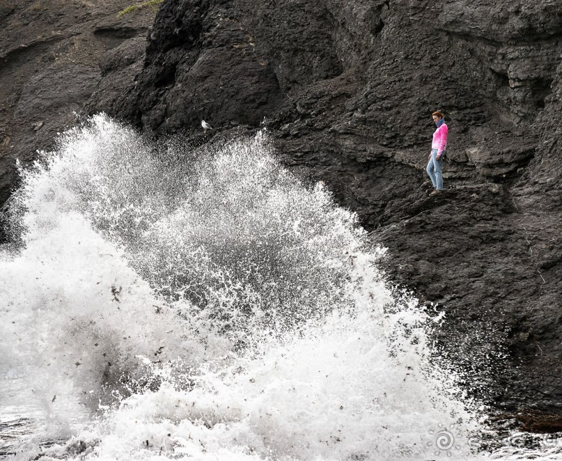 Зоопарк без клеток - Африка