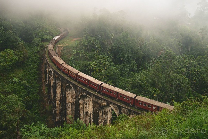 Зоопарк без клеток - Африка