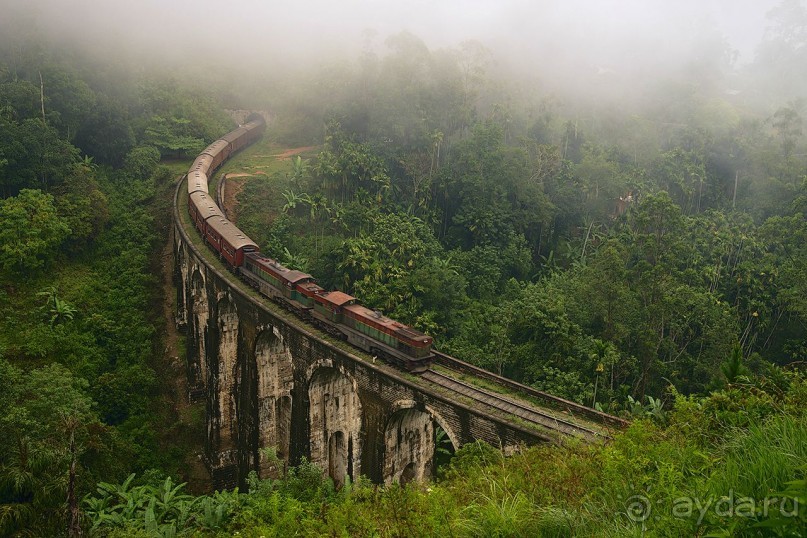 Зоопарк без клеток - Африка