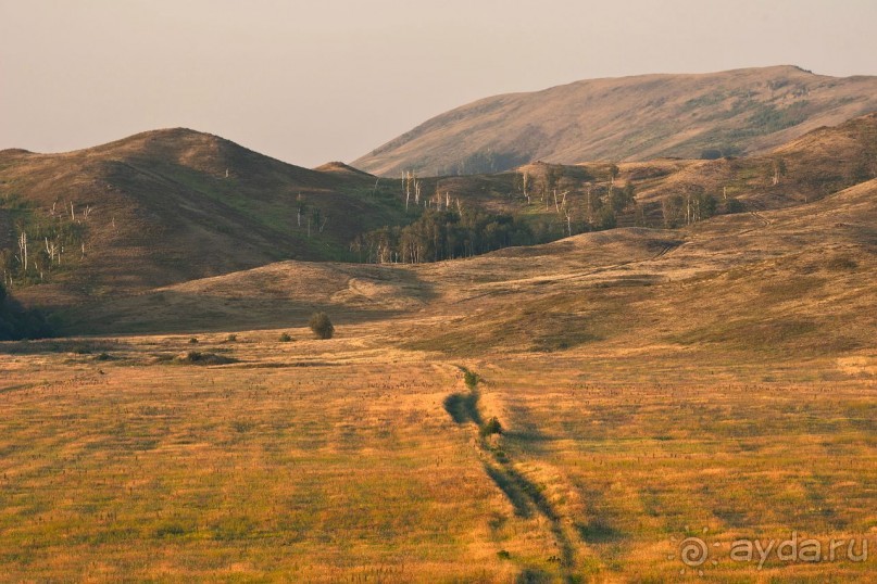 Зоопарк без клеток - Африка