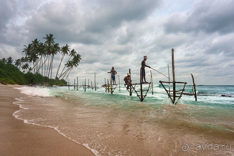 Зоопарк без клеток - Африка